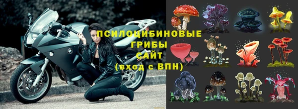 а пвп мука Алексеевка