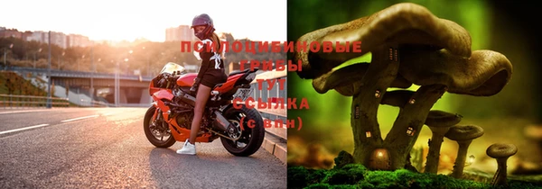 а пвп мука Алексеевка