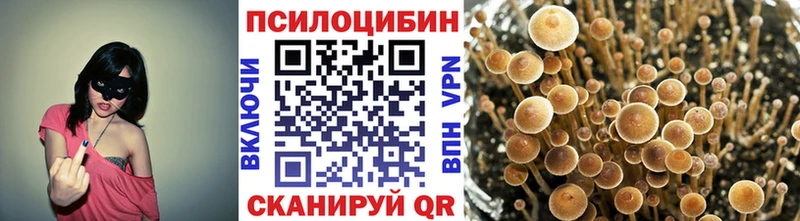 Купить где  Сегежа  Галлюциногенные грибы Magic Shrooms 